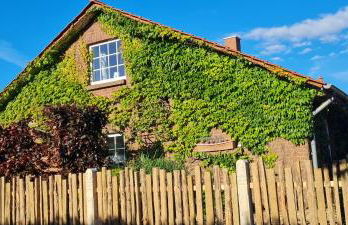 Mutti 's Landhaus - Photo 29