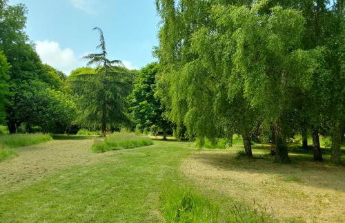 Couleur Jardin - Foto 8