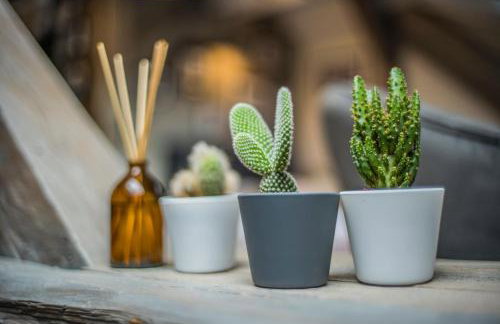 Apartamenty Rymanów - Foto 23