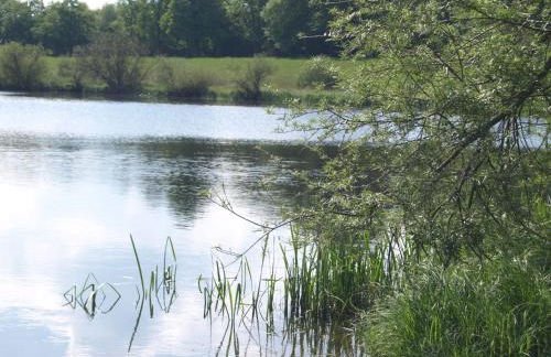 Ferienhäuser Pannier I und oder II - Foto 26