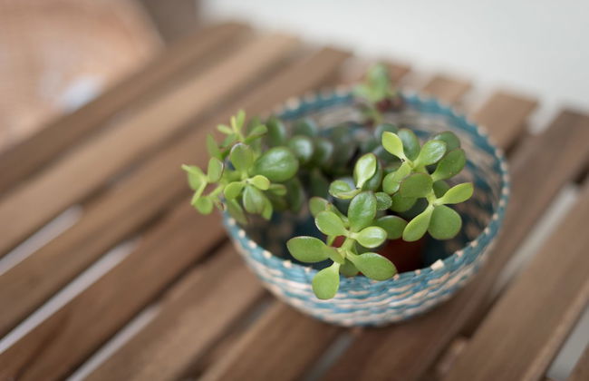 Casa Do Mercado - Foto 80