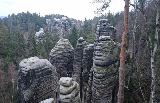 Peaceful Holiday Home in Holin With Garden - Photo 15