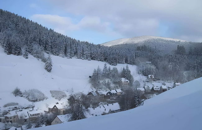 Charmantes Refugium, Harz - Foto 17