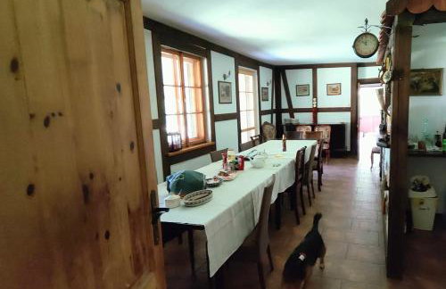 Villa Stare Osieczno - Foto 34