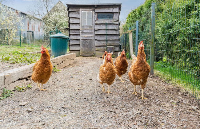 Cozy Chalet With Garden - Foto 22
