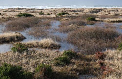 Tidal House #4 - Ocean Shores Chalet - Foto 23