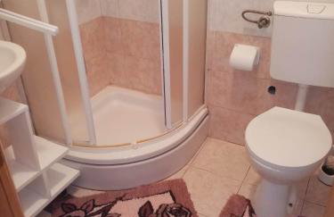 Dalmatian - Photo 20