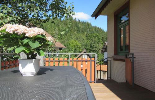 Ferienwohnung-Schoenmuenzblick-Urlaub-im-Nationalpark-Schwarzwald-Schwarzwald-Plus-inklusive - Photo 11