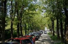 Quatrecantons Camprodon - Photo 67