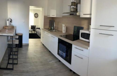 Colmar,appart chaleureux 2 pas centre avec jardin - Foto 19