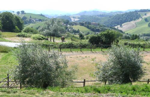 agriturismo montefiorentino - Foto 28