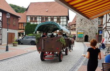 Art Apartment - Harz - Foto 63