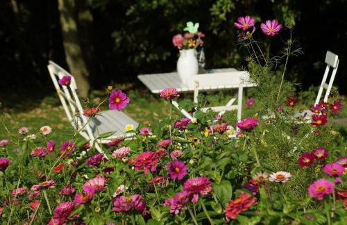 Norderlands - Photo 5