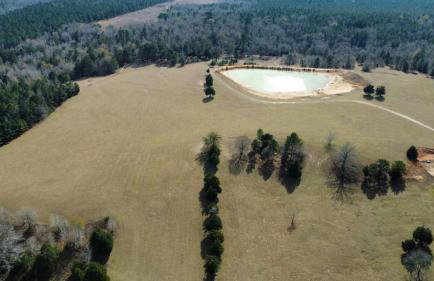 Willie's Cabin Yellow Rose Canyon - Foto 12