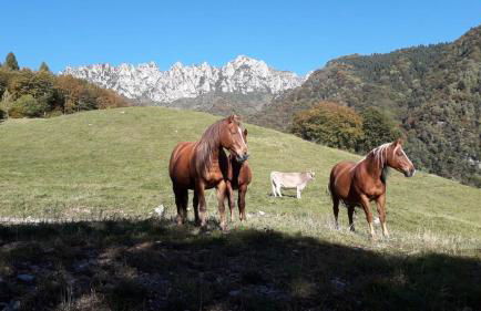 Eco-apartment Valletta - Photo 37