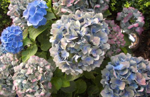 Strohmayer Appartements - Foto 7