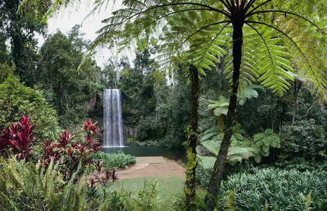 Rose Gums Wilderness Retreat - Foto 27