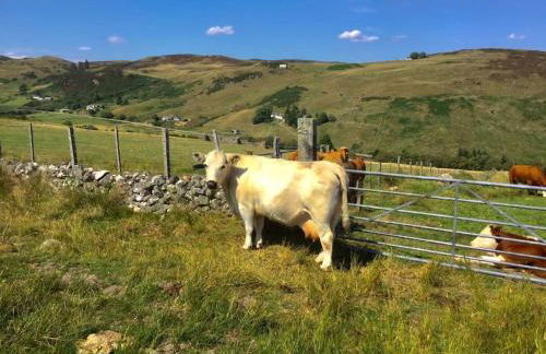 Glen Lodges Rogart - Foto 32