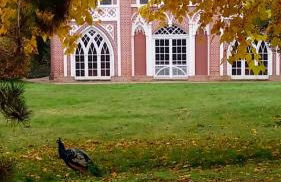 Ferienwohnung Matthisson - Foto 12