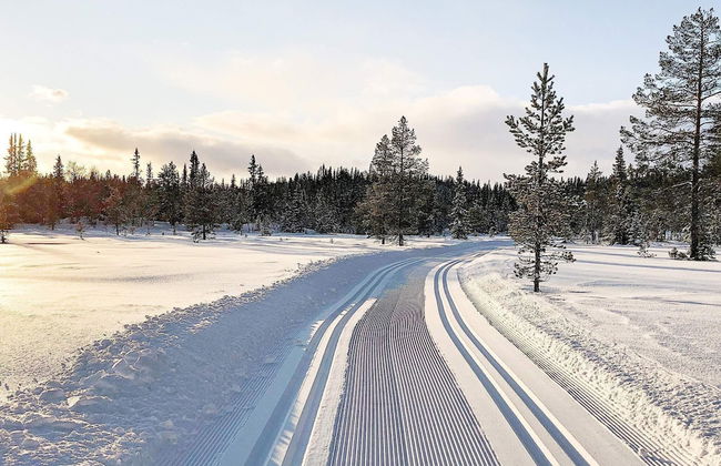 4 Person Holiday Home in Hemsedal - Foto 28