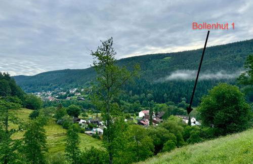 Bollenhut 1 - Foto 12