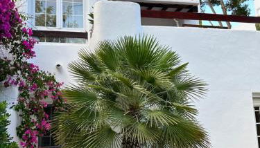 Chalet adosado con piscina y parking en urbanización el Rodat, Jávea - Foto 2