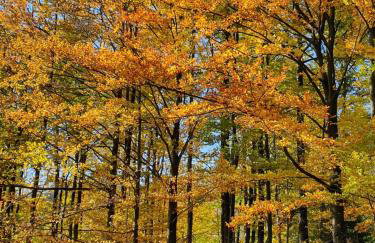 Domek pod Kłódką - Foto 31