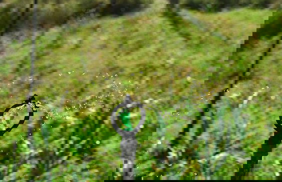 Clouds 1939 By Wimsons - Photo 42