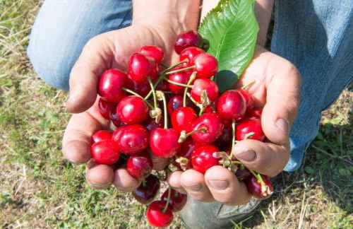 Villa Maria - Foto 25