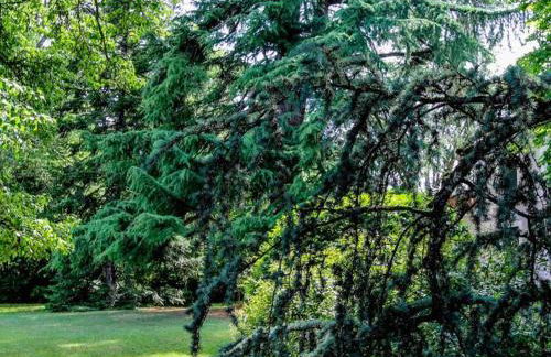 Maison avec piscine partagée proche de Périgueux - FR-1-616-528 - Foto 25