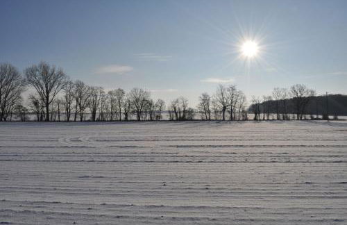 Kulturfreizeiten Ferienwohnungen - Photo 60