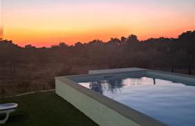 Monte do Rochinha - Foto 5