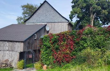 Ferienhaus VILLA ZAUBERBLICK am Rennsteig Frankenwald FREISTEHEND naturnah HUNDEFREUNDLICH eingezäunt - Foto 73