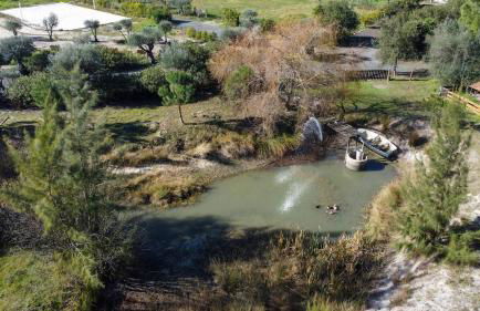 Casa Pinheiro - Foto 16