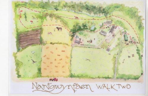 Nantgwynfaen Organic Farm Wales - Photo 36