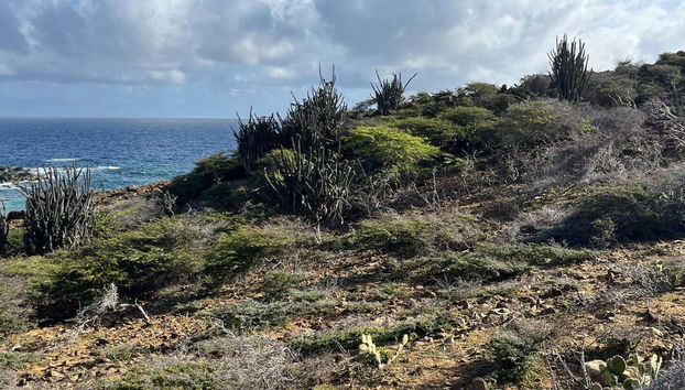 Vista sulla costa del Parco Nazionale di Arikok