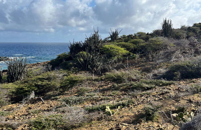 Senderismo por Arikok - Foto 1