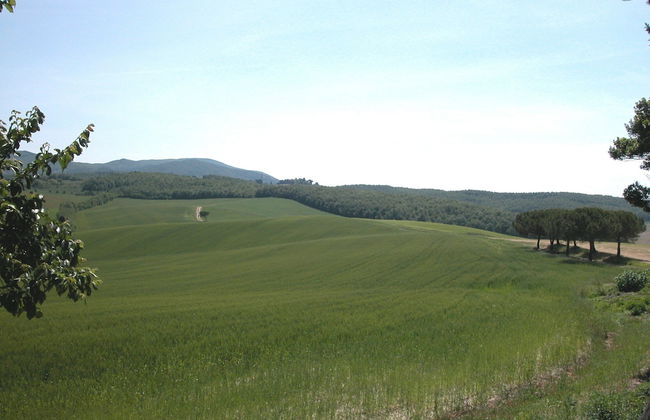 Apartment in Guasticce With Shared Pool - Foto 39