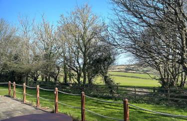 The Old Piggery, countryside barn with hot tub - Foto 16