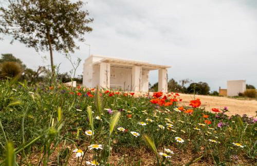 MASSERIA SCALEDDA - Foto 31