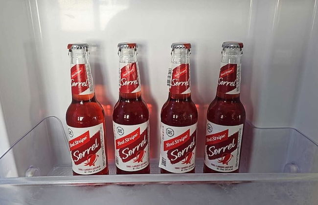 Sunny-shore Hideaway - Photo 44