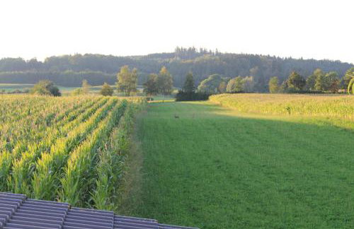 Am Barthelwald - Photo 7