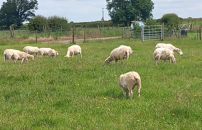 2 Bed Cambridge Lodge - Photo 14