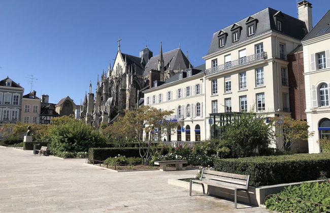 Charmant Zola - Photo 9