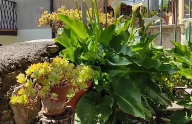 Casa all'era - Foto 27