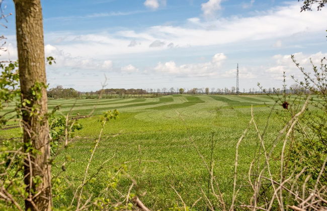 "Henna" - 550m to the fjord - Foto 8