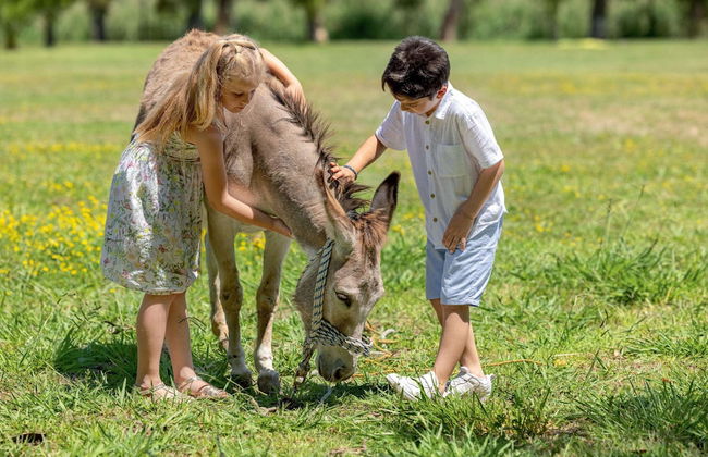 Grecotel LUXME Costa Botanica - Foto 57