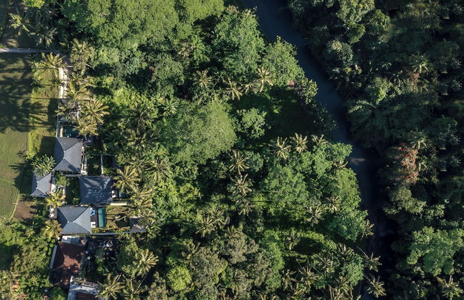 Capung Asri Ubud - Foto 41