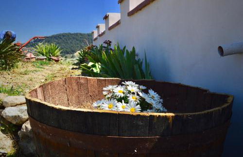 Villa Chiara - Foto 45