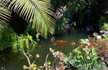 Tijarafe 2 - Foto 39